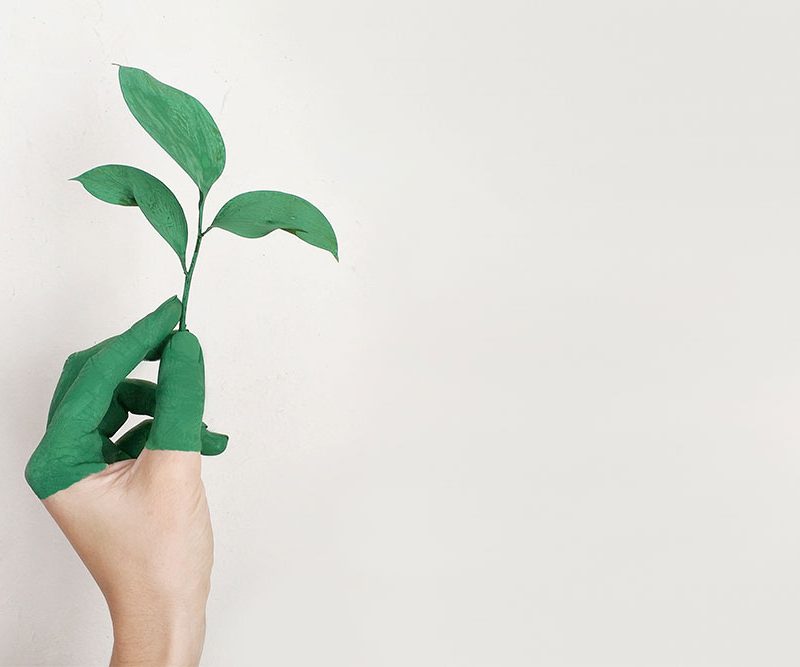 Hand painting green holding a leaf against white wall