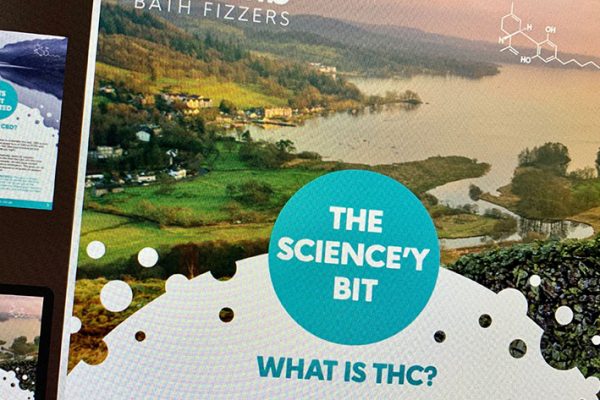 Blog Elly Cbd Guide Page2